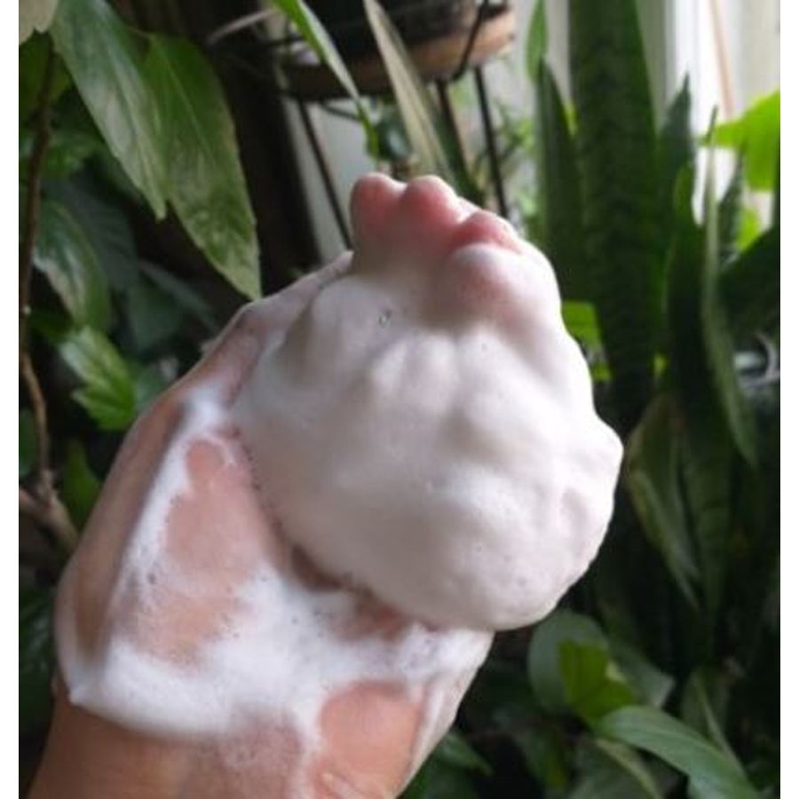 FARMSTAY Snail Pure Cleansing Foam, 180мл. Пенка для умывания с муцином улитки