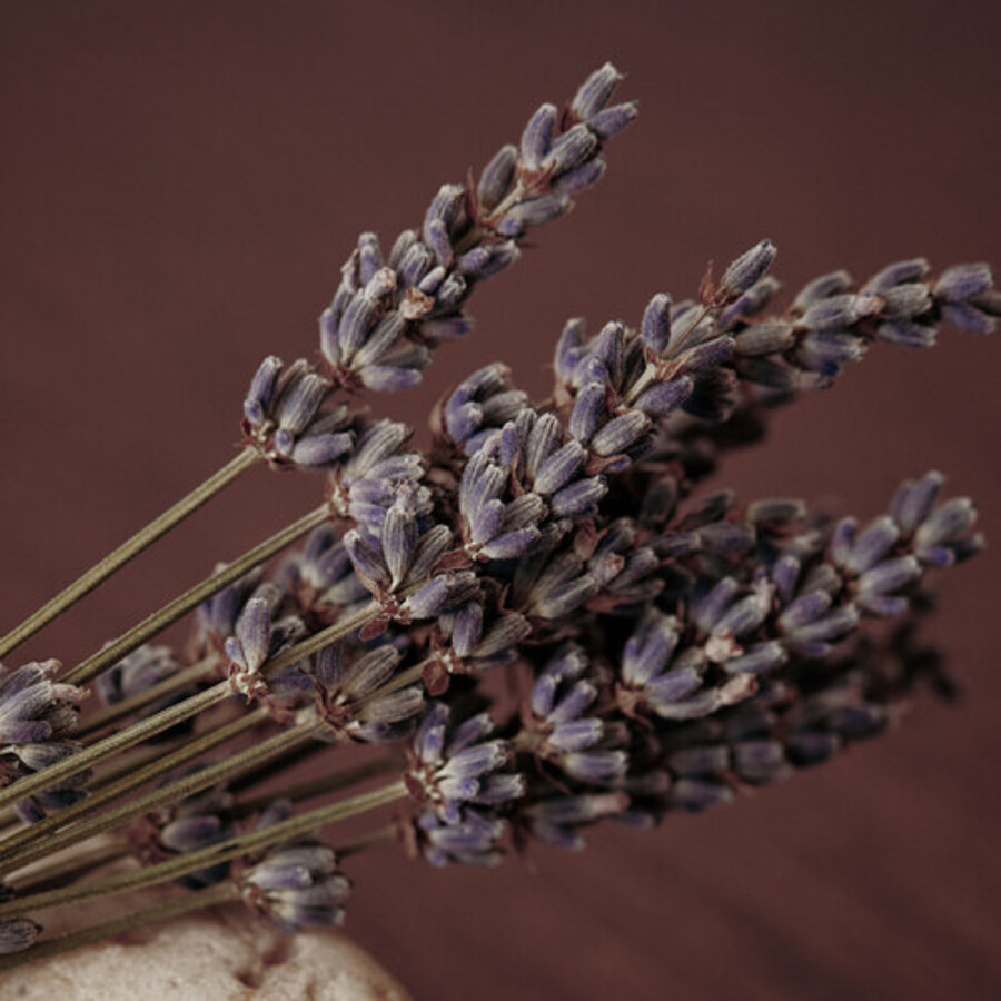 AROMATICA Aromatica Ritual Hair Oil Lavender & Patchouli, 50мл. Масло для волос с ароматом лаванды и пачули