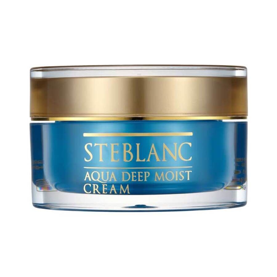 STEBLANC Steblanc Aqua Deep Moist Cream, 50мл. Крем для лица глубокоувлажняющий премиум-класса